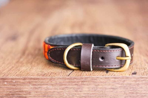 RUGI Maasai beaded dog collar