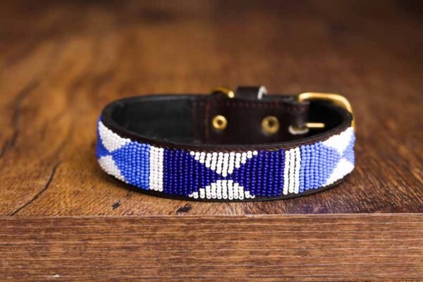 RWARE Maasai beaded dog collar
