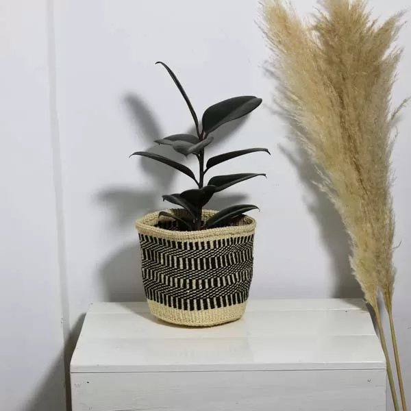 IMG_0153-jpg.webp DOLI Sisal woven planters