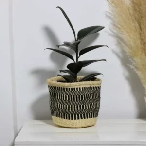 DOLI Sisal woven planters