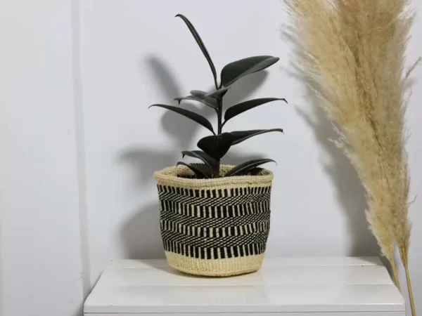 IMG_0156-jpg.webp DOLI Sisal woven planters