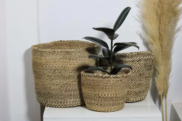 CHANE Sisal woven planters