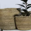 CHANE Sisal woven planters