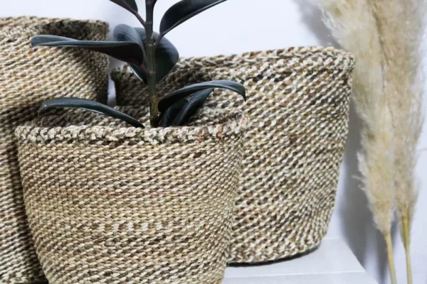 CHANE Sisal woven planters
