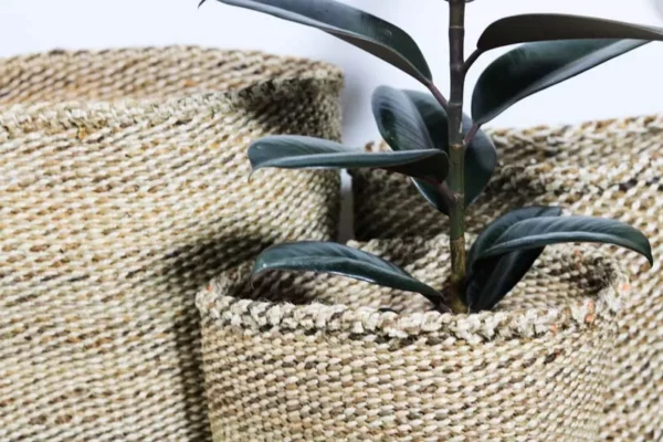 CHANE Sisal woven planters