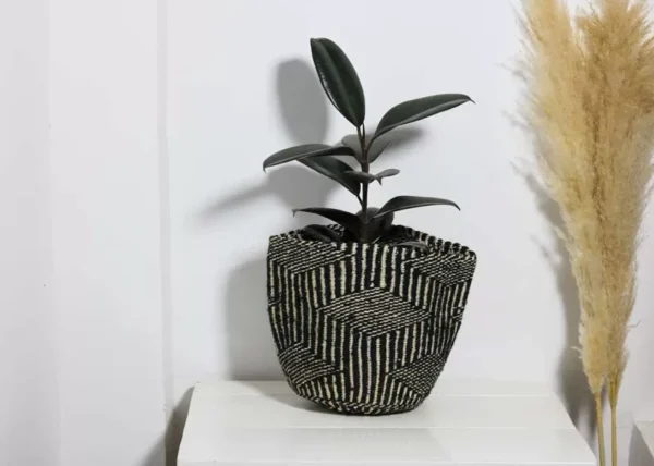 DOTO Sisal woven planters