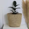 DACIA Sisal woven planters