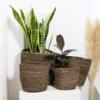 DELU Sisal Woven planters